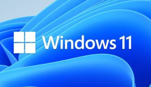 Windows 11 WSAPPX